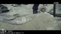 【一鹿神奇】加勒比海盜驚濤駭浪特效解密