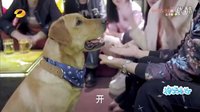 神犬小七tv 艾亮痛失小七KTV買醉 酒后吐真言感動丁涵 神犬小七電視劇