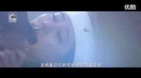 步步驚情MV《生命之花》正曉的前世今生