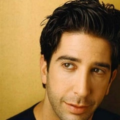 大衛·休默David Schwimmer