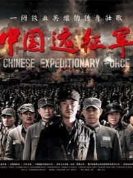 中國遠征軍TV版