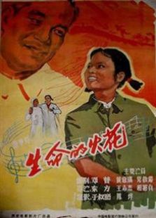 大圣文化（1962）