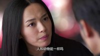 《離婚律師》女神教你520無節(jié)操示愛