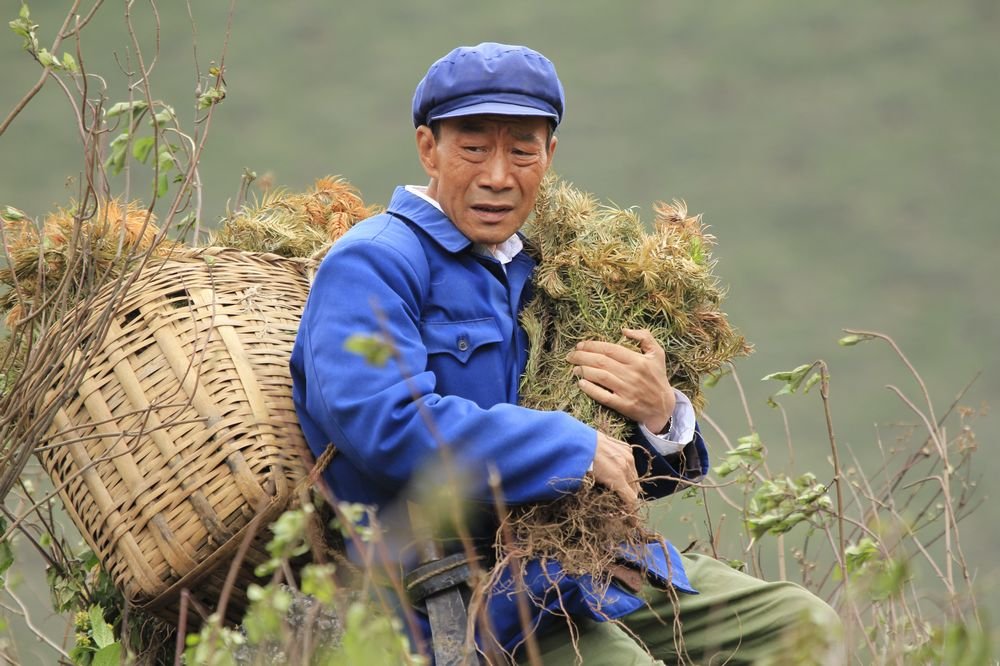 楊善洲 高清劇照